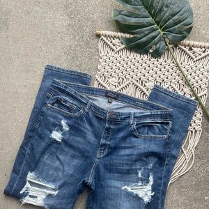 Plus Size Judy Blue Distressed Boyfriend Jeans Size 1XL